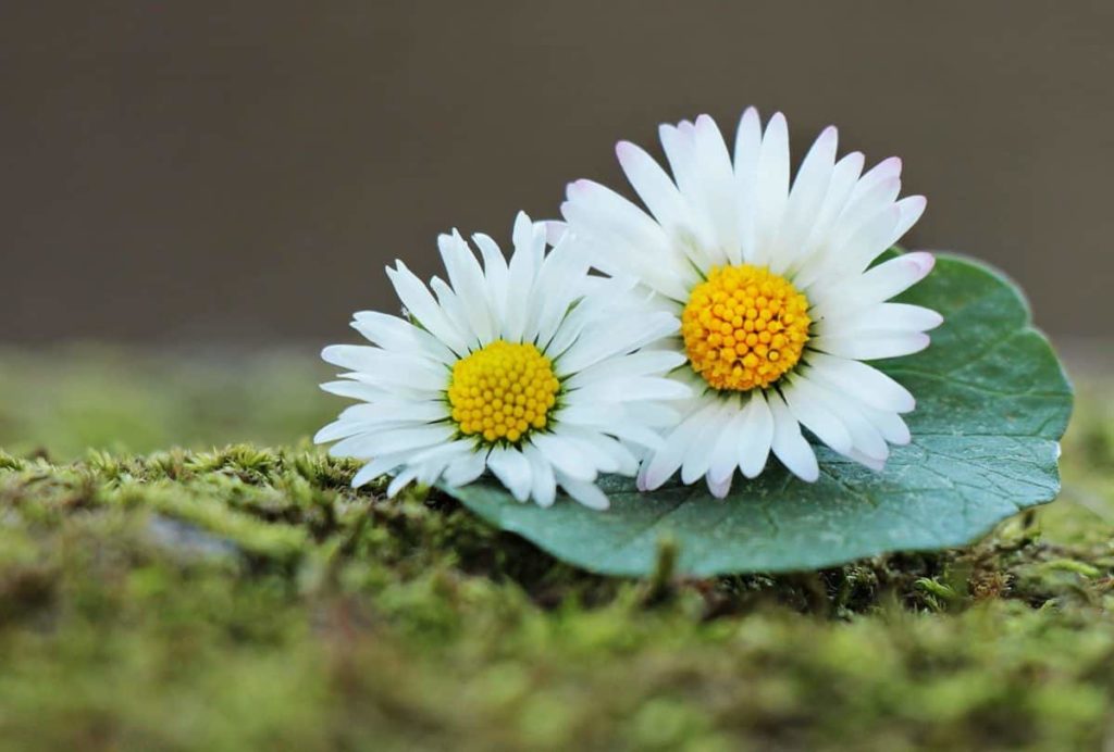 how to improve skin elasticity