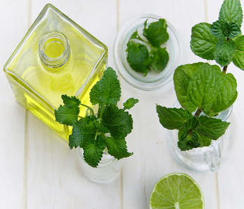 viral rashes in adults